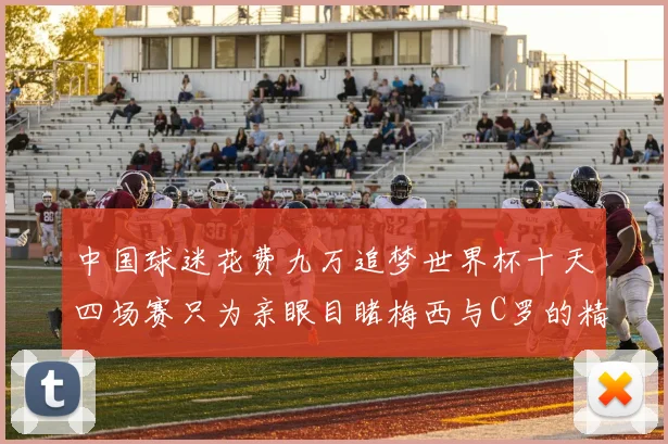 中国球迷花费九万追梦世界杯十天四场赛只为亲眼目睹梅西与C罗的精彩对决